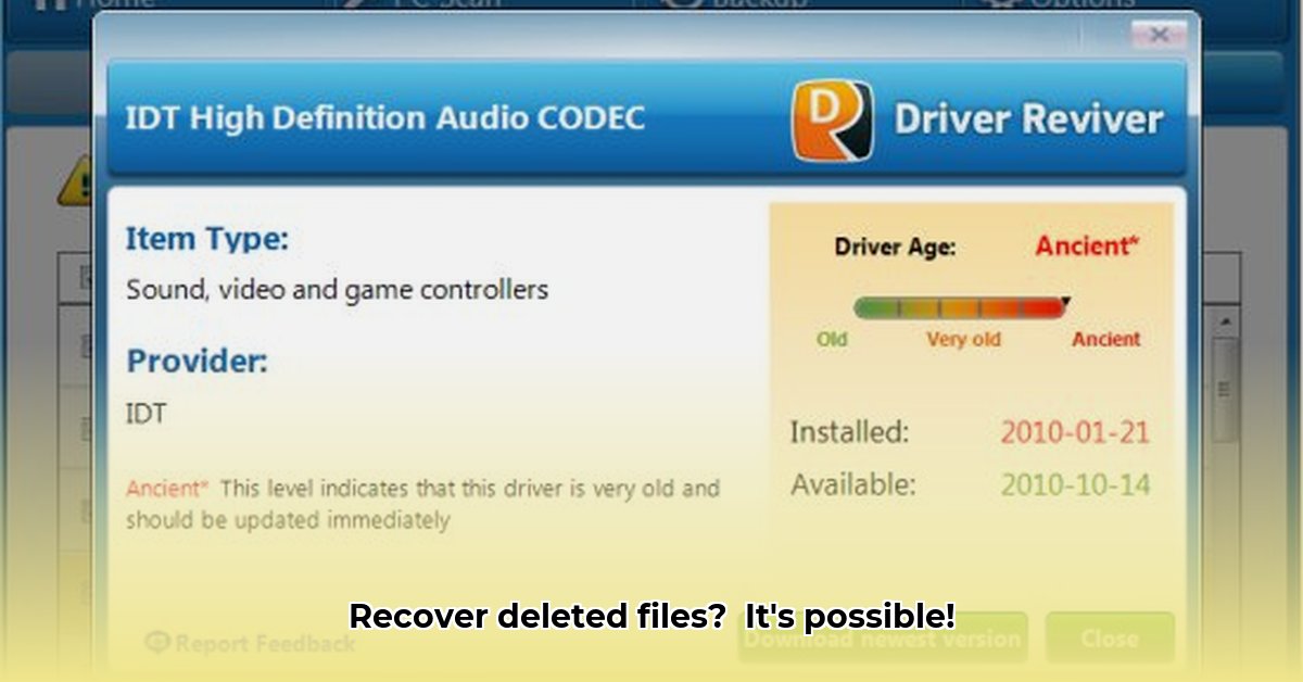 file-reviver